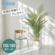 フェイクグリーン 大型 大きい 150cm 180cm アレカヤシ 観葉植物 人工観葉植物 造花 フェイク リアル イ…