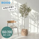 プレミアム フェイクグリーン 大型 大きい 160cm 200cm オリーブ 観葉植物 人工観葉植物 造花 フェイク リアル インテ…