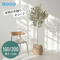 楽天市場】フェイクグリーン 160センチの通販