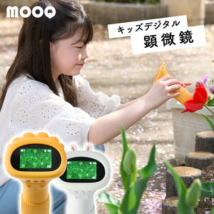 yN[|p50%OFFz  q MOOQ [N yX}z]\z eSDJ[ht nfB }CNXR[v ǂp{t mߋ 3 4 5 6 7 8 9 10 j