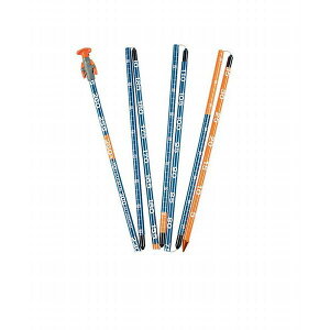 obNJg[ANZXibcajXeX300iSTEALTH 300jC2005003010