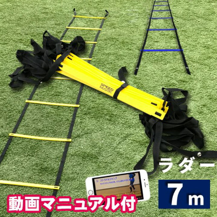 楽天市場】SPORTS科学 【動画マニュアル付】連結可能 ラダー 