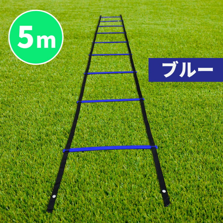 楽天市場】SPORTS科学 【動画マニュアル付】連結可能 ラダー 