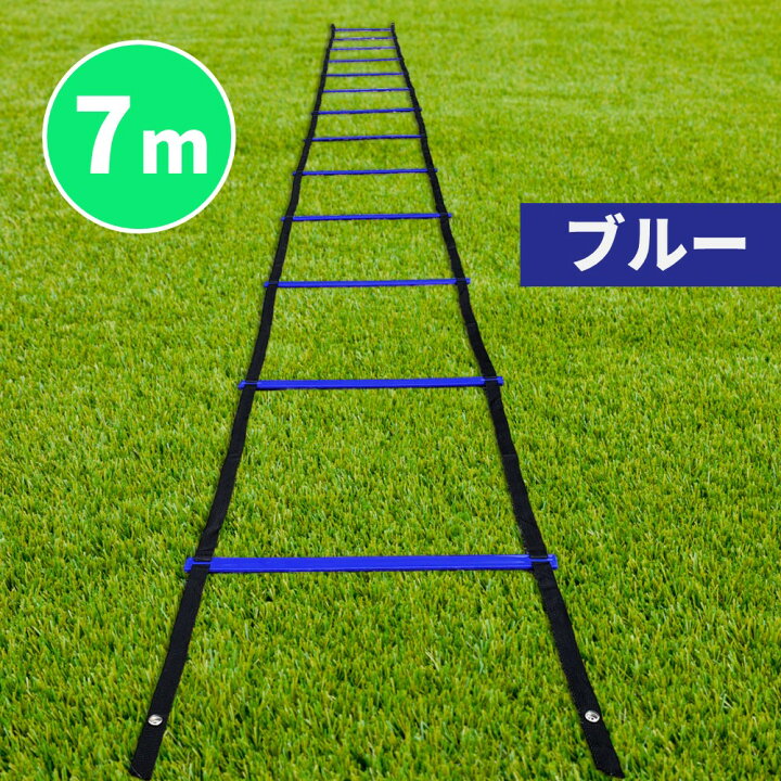 楽天市場】SPORTS科学 【動画マニュアル付】連結可能 ラダー 