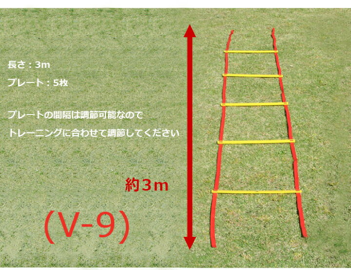 楽天市場】トレーニング ラダー 3m V-9 プレート5枚 SPORTS科学 ラダー 