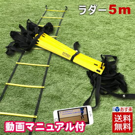 楽天市場 ラダーの通販 楽天市場 ラダーの通販