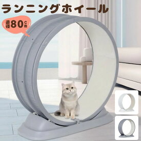 キャットホイール トレッドミル ローラー 静音 低騒音 猫用 ランニングホイール ランニングマシン 80cm 2色 ホイールランナー ペット ホイール 自走式 回し車 ルームランナー 爪とぎ 運動不足 ダイエット キャットホイール
