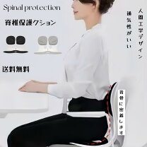 楽天市場】スタイルプレミアム 姿勢の通販