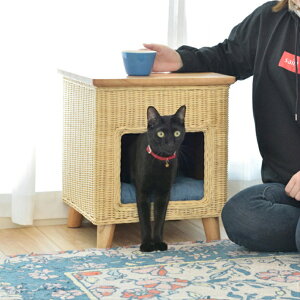 猫 ベッド 木 キャットタワー ケージの人気商品 通販 価格比較 価格 Com 猫 ベッド 木 キャットタワー ケージの人気商品 通販 価格比較 価格 Com