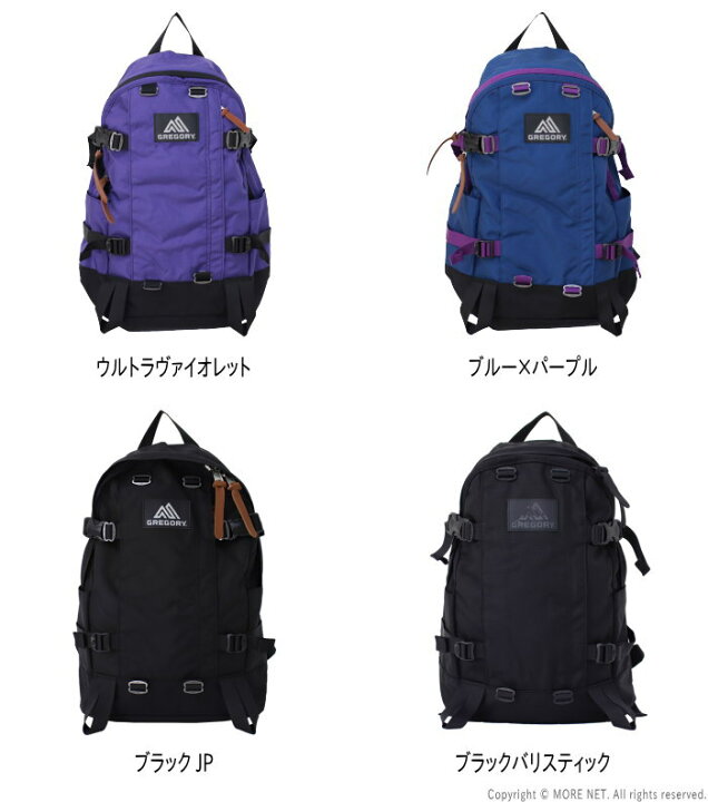 楽天市場】グレゴリー GREGORY デイパック ALL DAY V2.1 メンズ  