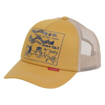 楽天市場】ダルチザン メッシュ キャップの通販