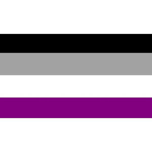 yz  LGBT YrA QC oCZNVA gXWF_[ 150cm × 90cm  tbO y󒍐Yz