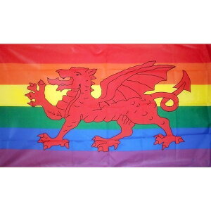 yz  EF[Y Ԃ C{[ F LGBT 150cm × 90cm  tbO y󒍐Yz