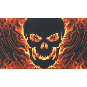 yz  C pC[c XJ [  tC t@C[ 150cm × 90cm  tbO y󒍐Yz