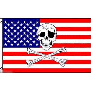 yz  USA  C pC[c XJ [ AJ 150cm × 90cm  tbO y󒍐Yz