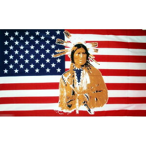 yz  AJO USA  CfBA lCeBuAJ 150cm × 90cm  tbO y󒍐Yz