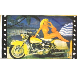 yz  ZNV[K[ r[` l oCN I[goC 150cm × 90cm  tbO y󒍐Yz