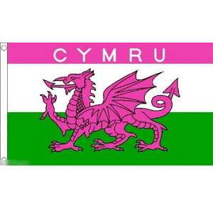 yz  EF[Y Ԃ  EFVEhS 150cm × 90cm  tbO y󒍐Yz