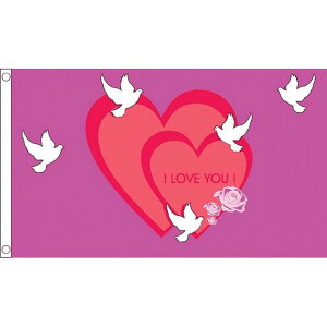 yz  o^Cf[  ACu[ n[g 150cm × 90cm  tbO y󒍐Yz