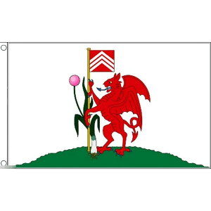 yz  J[fBt EF[Y 150cm × 90cm  tbO y󒍐Yz