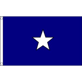 【送料無料】 国旗 ボニー ブルー フラッグ 西フロリダ共和国 150cm × 90cm 特大 フラッグ 【受注生産】
