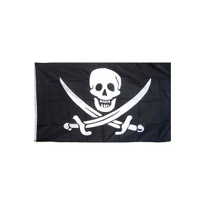 yz C WJ ubNp[ 150cm × 90cm  tbO y󒍐Yz