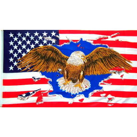 【送料無料】 国旗 アメリカ合衆国 USA 星条旗 イーグル 鷲 150cm × 90cm 特大 フラッグ 【受注生産】