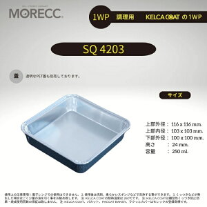 ppJbg1WP SQ4203 -10  pbN@(g؂ h~R[eBO) 㕔Oa 116x116 mm. 㕔a 103x103 mm. a 100x100 mm.  24 mm. e 250 ml.