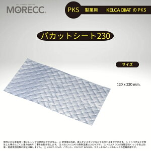 pJbgV[g230-10pbN120 x 230 mm.