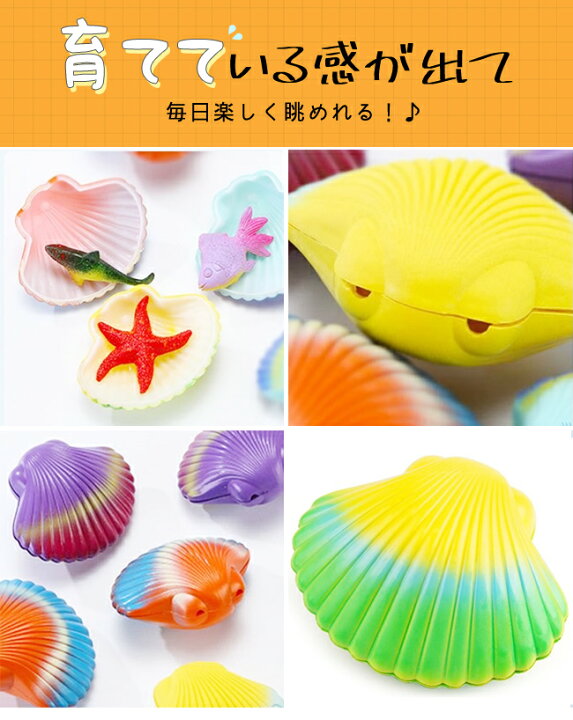 楽天市場 特価販促 在庫限り 玩具 おもちゃ マスコット 貝殻 水 実験 キッズ 子供 水につけて 大きくなる おもしろ ギフト 水遊び 誕生日 プレゼント 景品 イベント 子ども会 幼稚園 施設 様々な生物が誕生 生まれる 知育玩具 観察力 集中力 創造力 色彩感覚 タマゴ