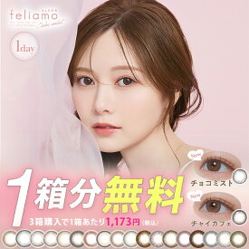 【神トク対象】【1箱分無料(3箱ご購入＆クーポン利用)】カラコン フェリアモ ワンデー 送料無料 【1箱10枚入】 度あり 度なし カラーコンタクト 1day 1日 feliamo 白石麻衣 UVカット 高含水 コンタクト 当日発送あり
