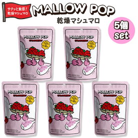 サクサク食感『韓国食品』マロウポップ 乾燥マシュマロ 5個 いちご味 20g わたあめ15g シリアル ヨーグルト アイスクリーム