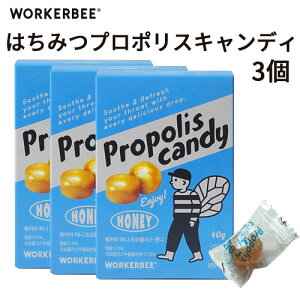 w؍HixWORKERBEE [J[r[ ݂͂ v|X LfB 10 3Zbg XC[c ₳Â