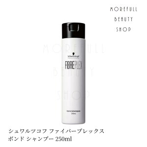 VcRt t@Co[vbNX {hVv[ 250mL Vv[ } ؂ u[` wAPA Tꔄi T ꔄi e et wAPA jZbNX  Schwarzkopf FIBER 