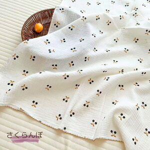 P10{IK[[ uPbg    Rbg K[[Pbg  ԕ  xr[ Ԃ LbY q ʋC oYj oY Q | Mtg v[g j̎q ̎q