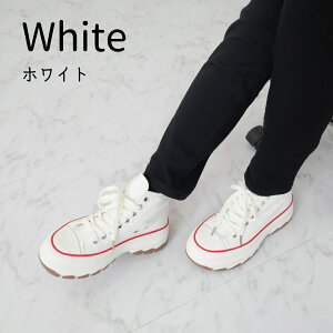 10܂Ń|Cg5{yzy  Xj[J[ nCJbg C  fB[X 킢 lC q[ ɂ ₷  H ~@ 