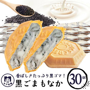 yz ACXȂ  30   w  sgp ۑsgp Fsgp l ̂  ACXN[Mtg  Mtg v[g Ԃ XC[c 