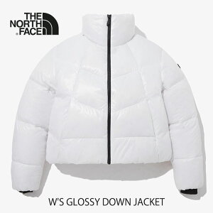 �m�[�X�t�F�C�X �_�E���W���P�b�g ���f�B�[�X THE NORTH FACE W'S GLOSSY DOWN JACKET �E�B�����Y �O���b�V�[ �_�E���W���P�b�g WHITE �z���C�g NJ1DP87B �O�[�X�_�E�� �E�F�A