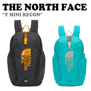 �m�[�X�t�F�C�X �o�b�O�p�b�N THE NORTH FACE Y MINI RECON Y �~�j ���[�R�� �S2�F NM2SQ20R/S �o�b�O