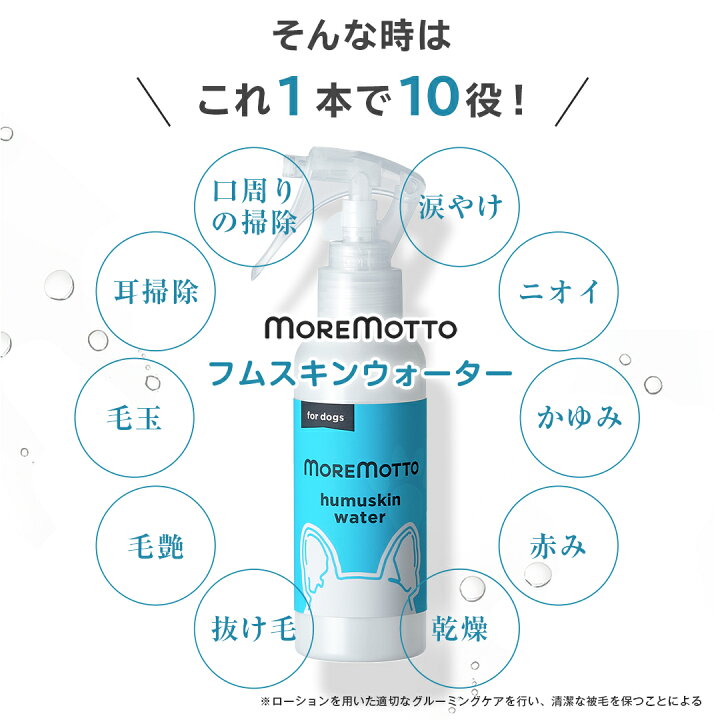 楽天市場】期間限定＼ 20％ポイントバック！ ／ 獲得P905~【 動物病院  