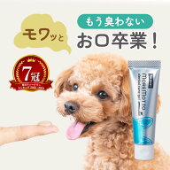 【動物病院 監修 】 犬 歯磨き 歯磨き粉 デンタルケアジェル 30 g ( 1か月分 ) 犬用歯磨き粉 歯磨きジェ…