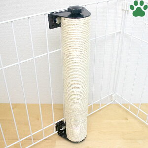 Aj[R[X@Lbg킭킭|[@400Lp@܂Ƃ@P[Wt@lWsv@Hsv@ȒP@Œ@RpNg@@߂Ƃ@KK@cƂ@܌@lR@anie ch