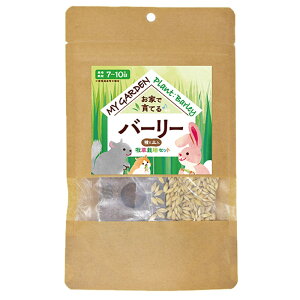 [Ki] C[X^[@}CK[f@q͔|Zbg@I[c / C^AOX / EB[g / o[[