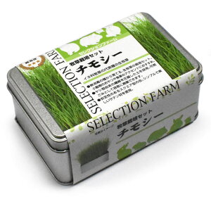 [Ki] C[X^[@ZNVt@[@q͔|Zbg@`V[q@{y{e@@bg@``@nX^[@H@@@@t@