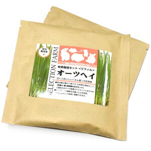 [ܖF2026/1/31][Ki] [2Zbg]C[X^[@ZNVt@[@q͔|Zbg tB@I[cwCq@{y@@bg@``@nX^[@H@