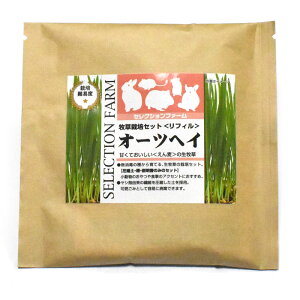 [ܖF2026/1/31][Ki] C[X^[@ZNVt@[@q͔|Zbg tB@I[cwCq@{y@@bg@``@nX^[@H@@