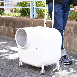 PIDAN@Lp@gx{bNX (X}[gybggx{bNX)@CVXe@LEDCgtL[@L[P[X@L[obO@L[J[g@ybgLA@LX^