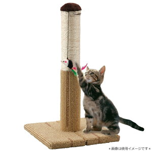 }J@ǂłcƂ^[S@CT-265lY~̂t@Lp@܂Ƃ@܂݂@Hsv@ȒP@RpNg@߂Ƃ@KK@cƂ@܌@I`@|[@l