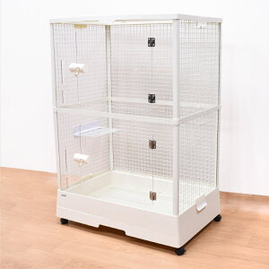 GEX@NAtg70 High``@fO[@tNK@p@Xe[Wt@P[W@P[W@XChbN@LX^[t@C[XmR@gݗĊȒP@@N