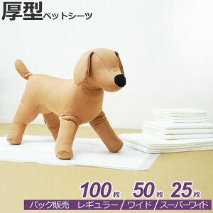 pbN@^ybgV[c@M[@45×33cm@100×1pbN / Ch@60×45cm@50×1pbN / X[p[Ch@90×60cm@25×1pbN